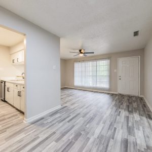 Living room and Kitchen